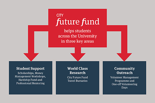 City Future Fund diagram